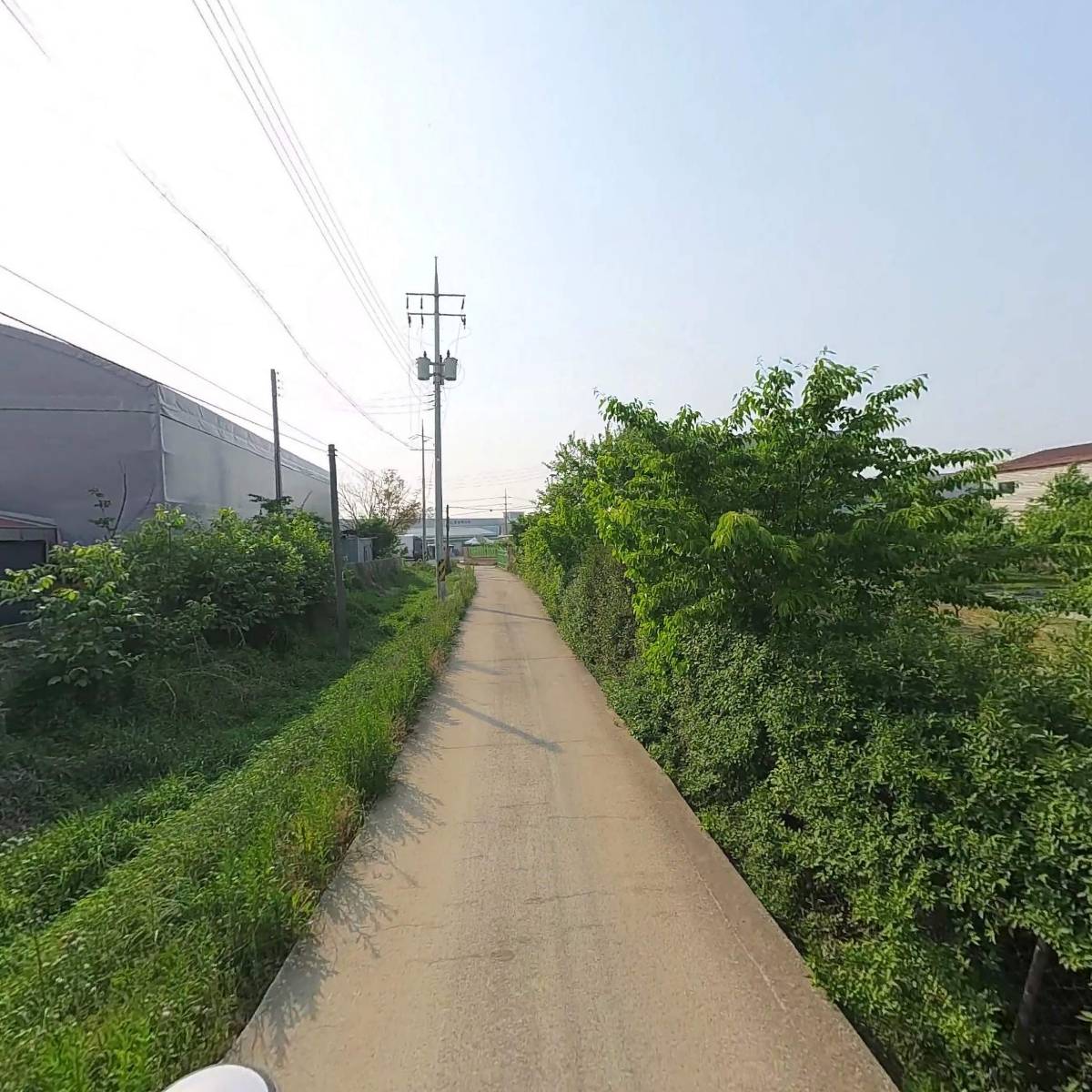 대 장헌_2