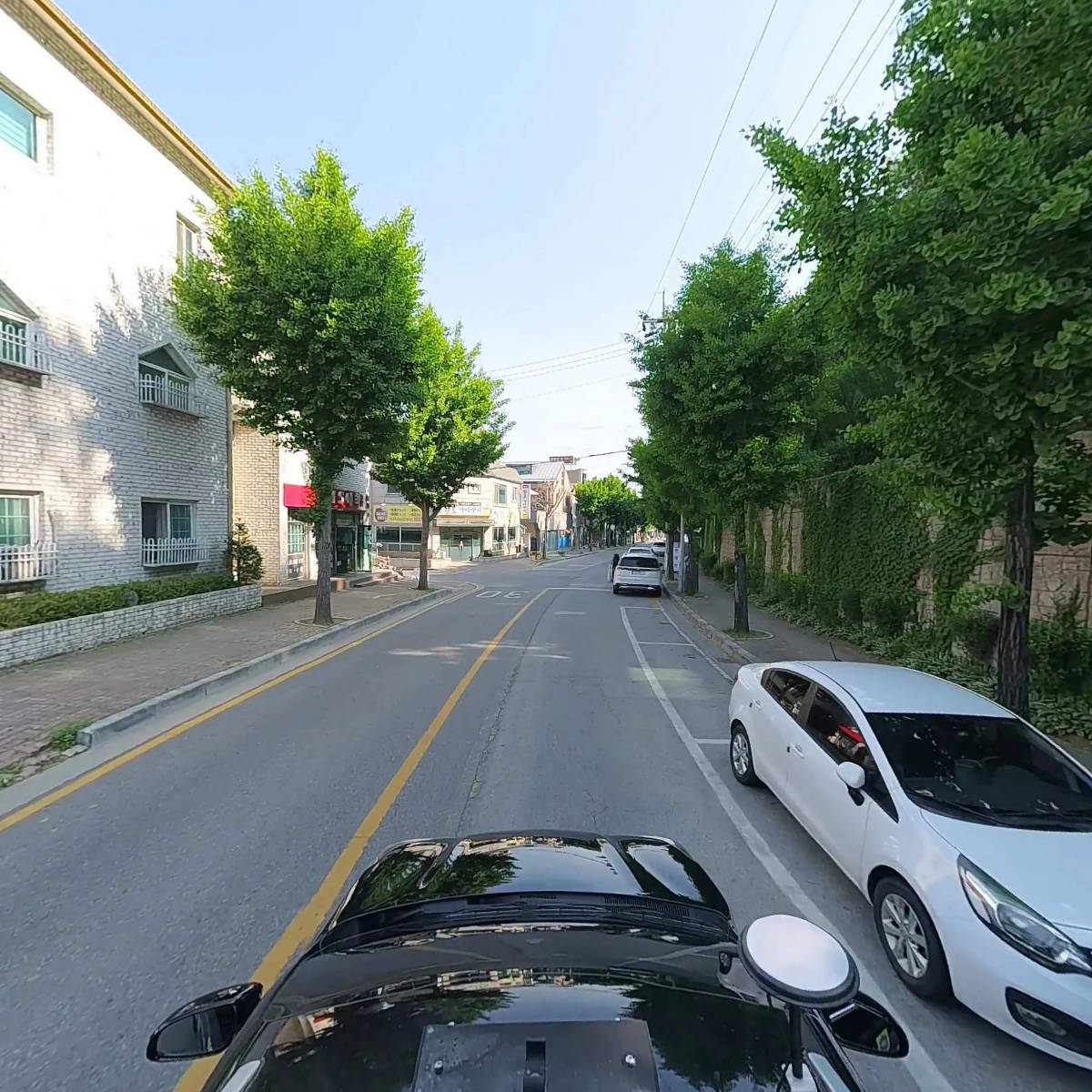 더블유디더블유(WDW) 생활용품_4
