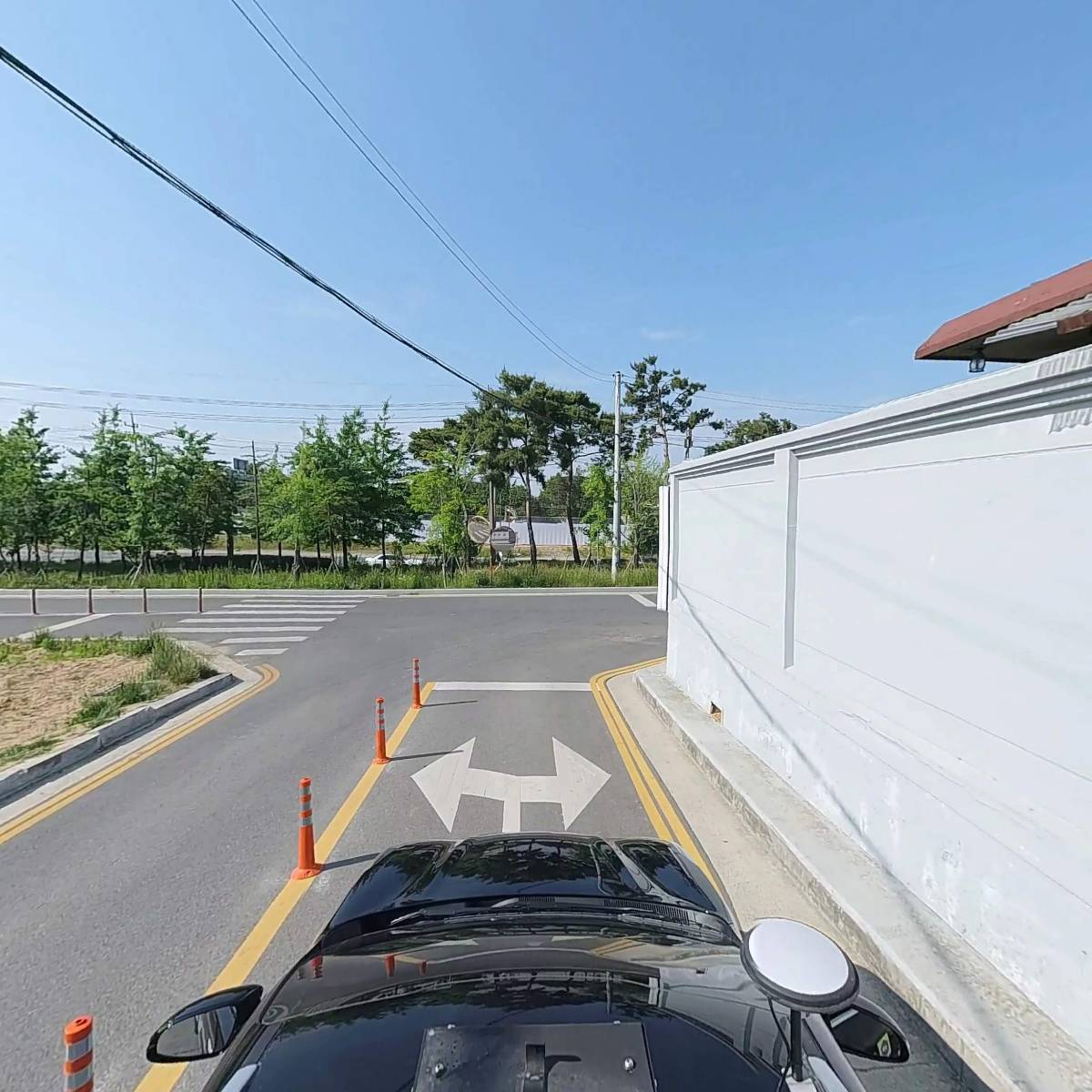 소나무_4