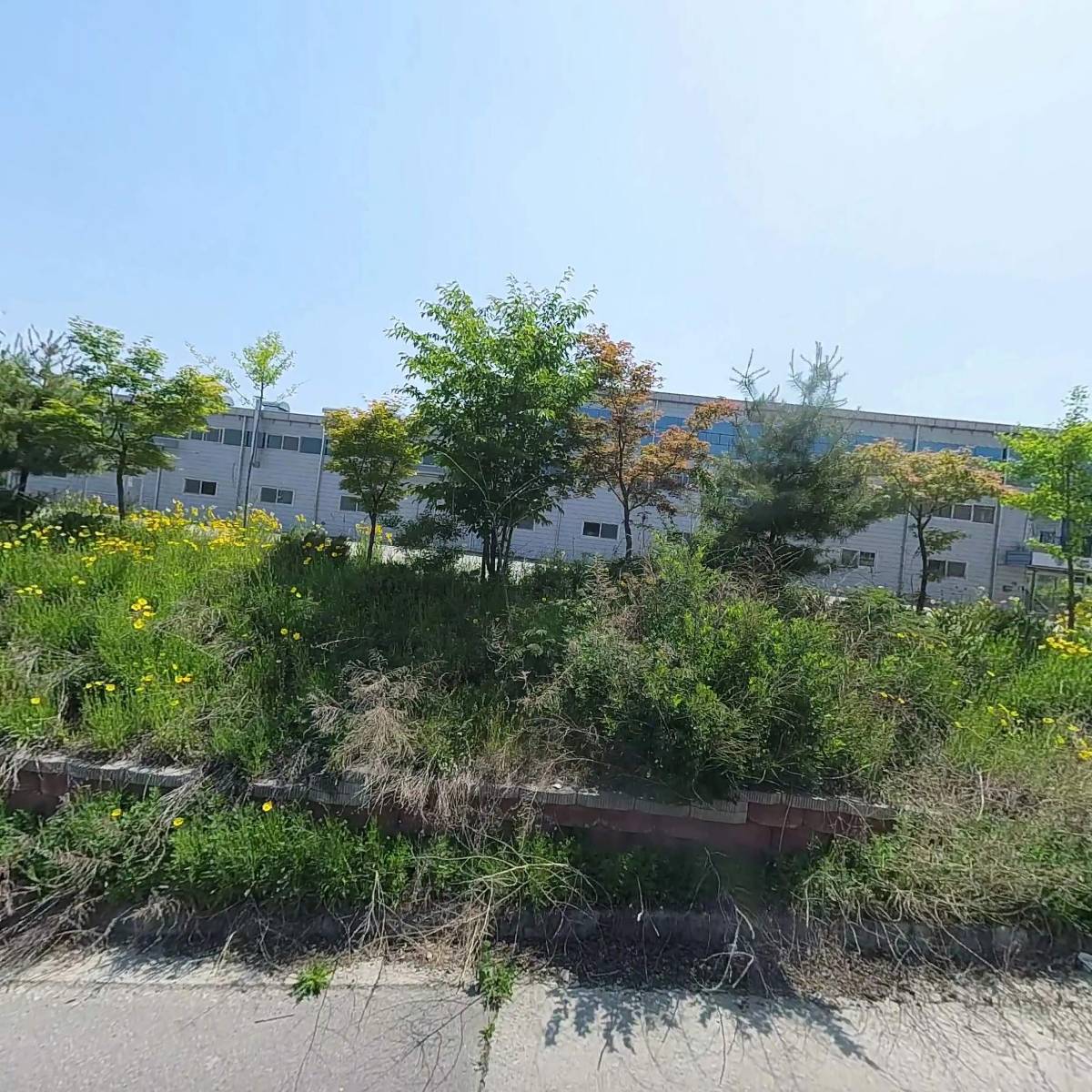 주식회사엠비온_3