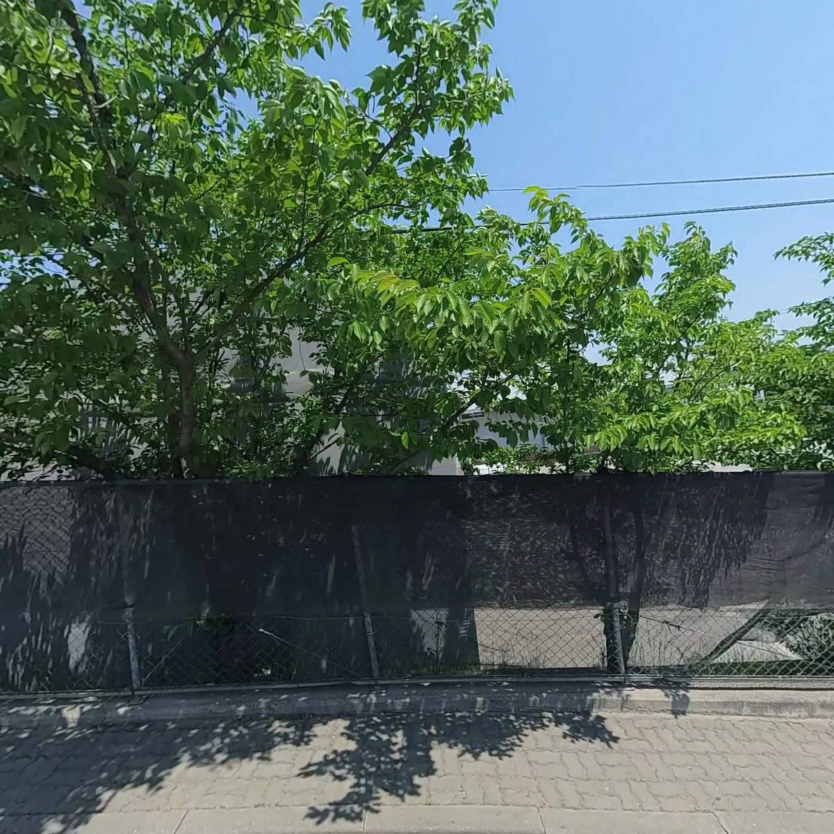 금성에이스산업(주)