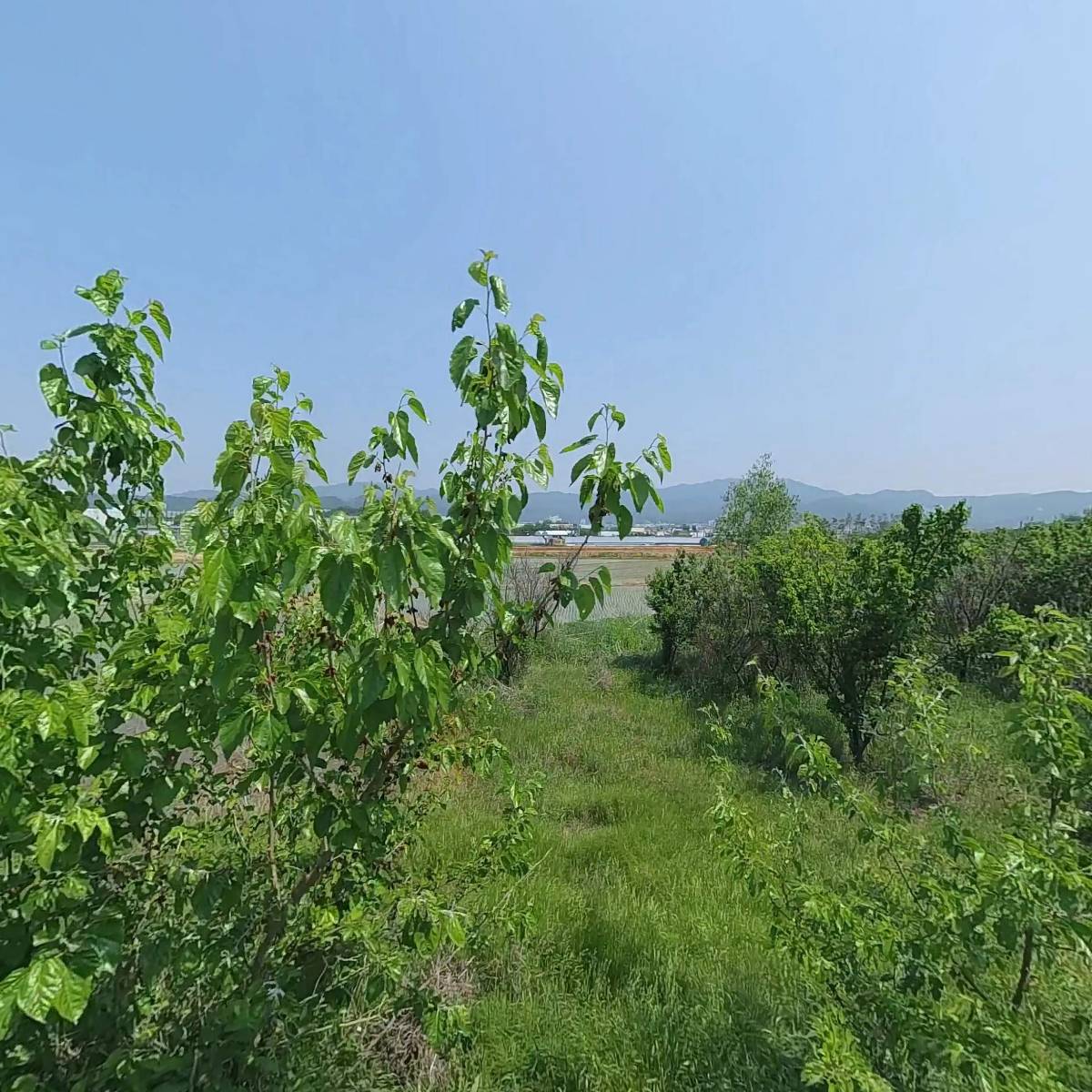 케이로봇주식회사_3