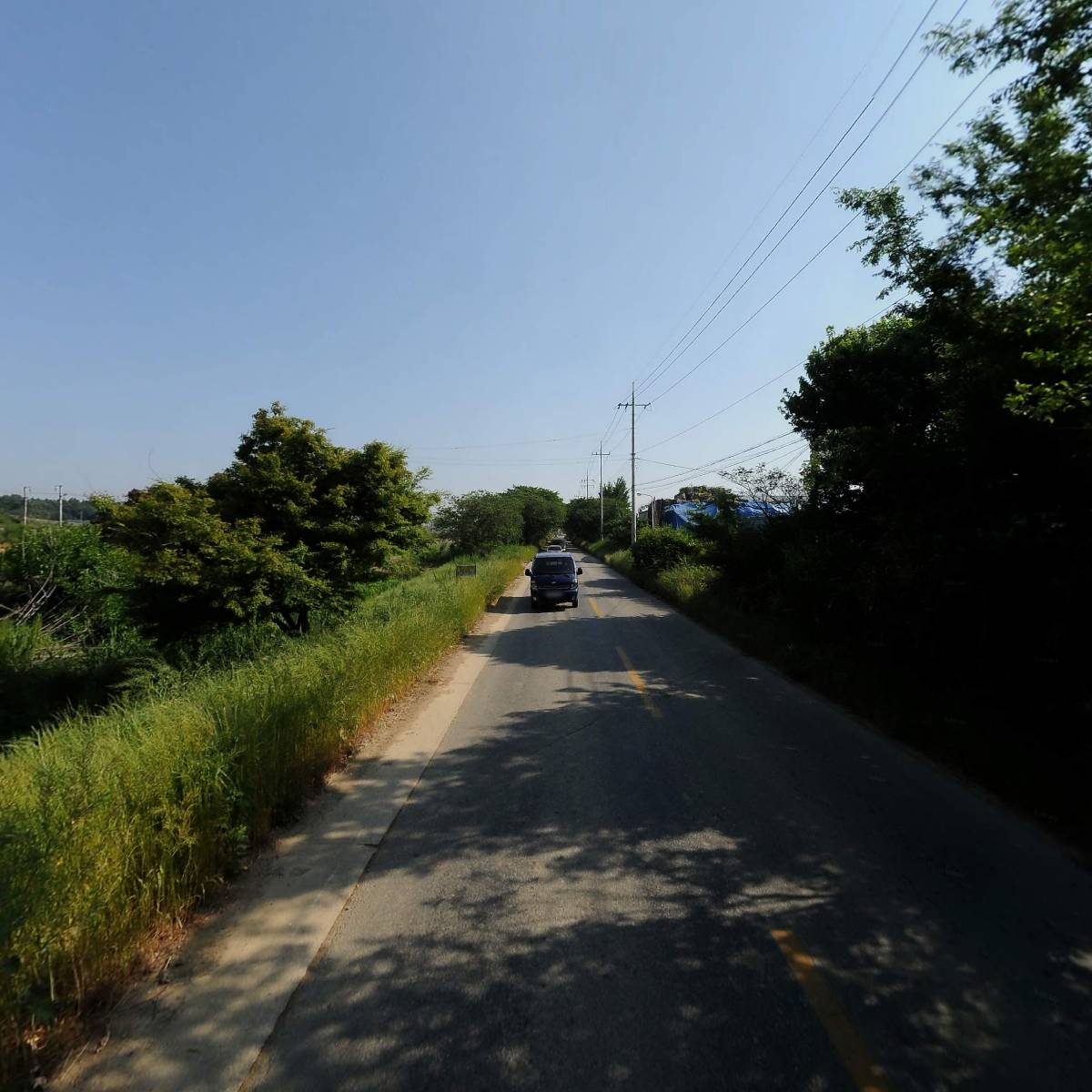 정읍흰민들레영농조합법인_2