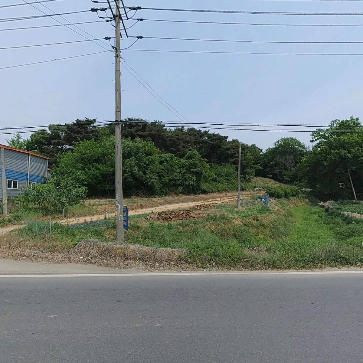 디엠티(DMT)_3