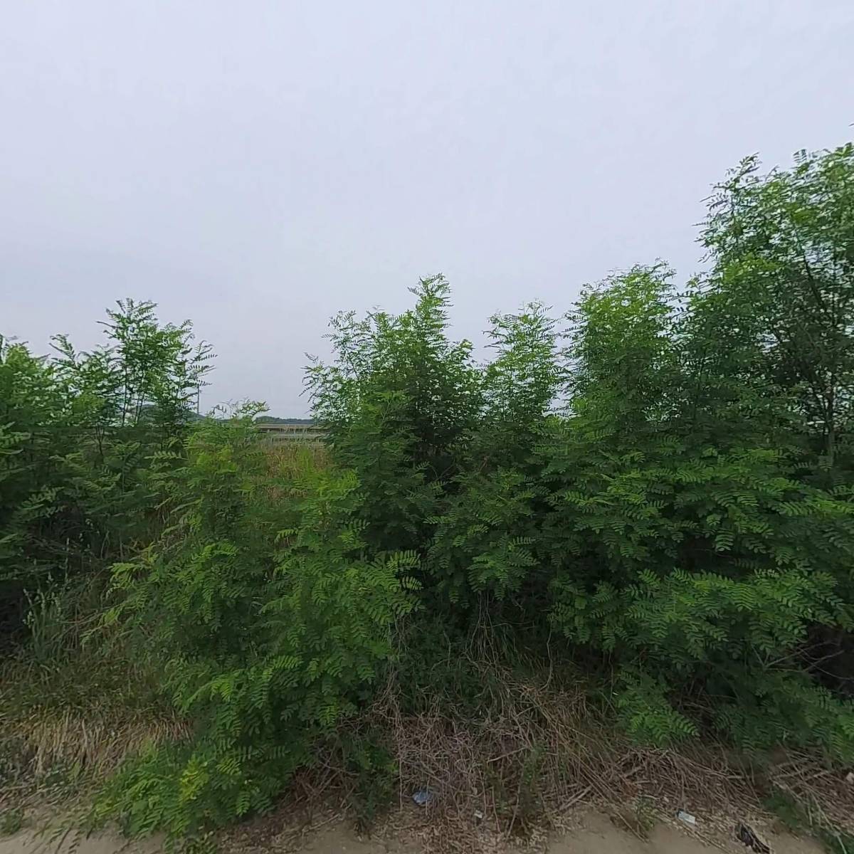 지디에스펀드