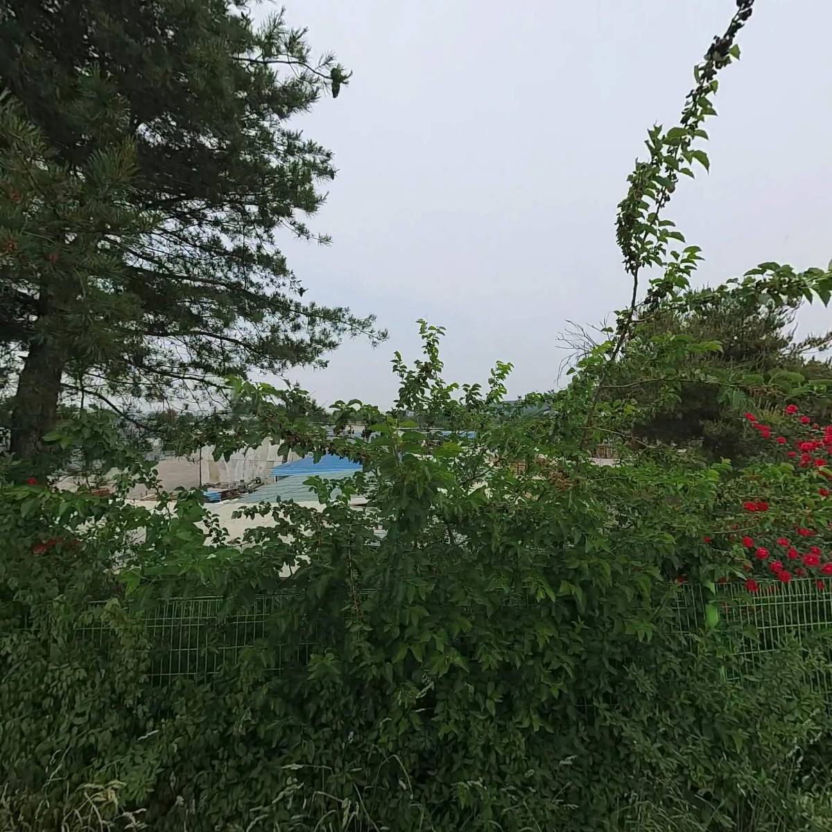 유성테크