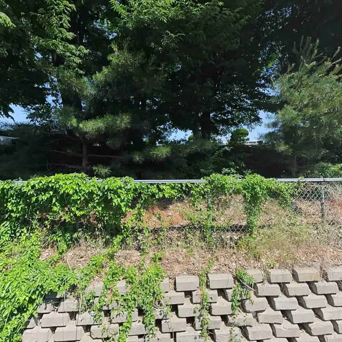 (주)동호테크