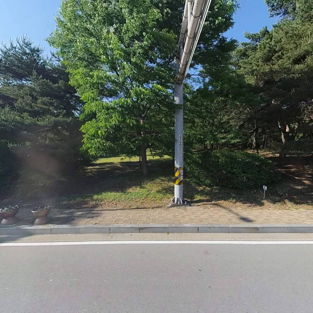 신토불이 청국장