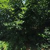 주식회사 케이오피에스_3
