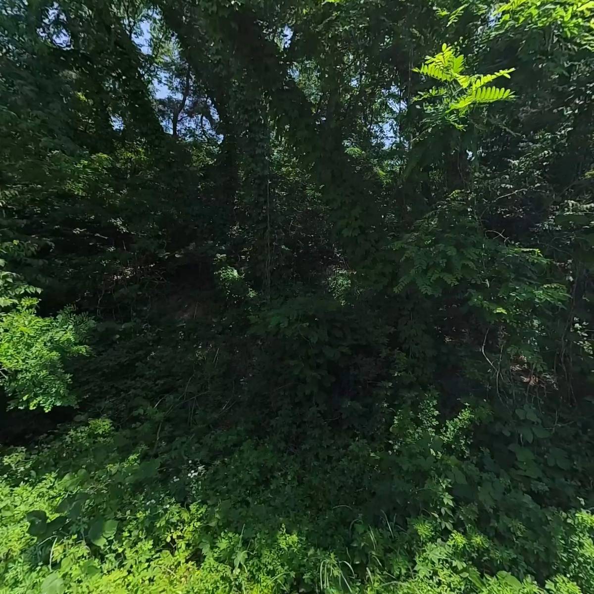 신본기업(주)