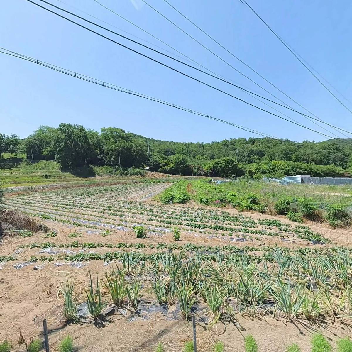 제이에스산업