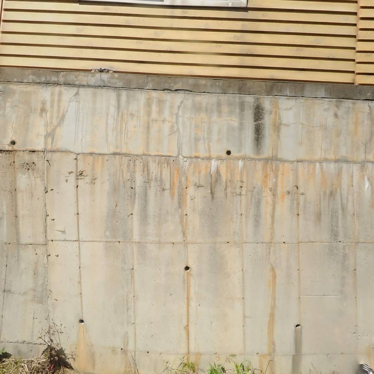 다루_3