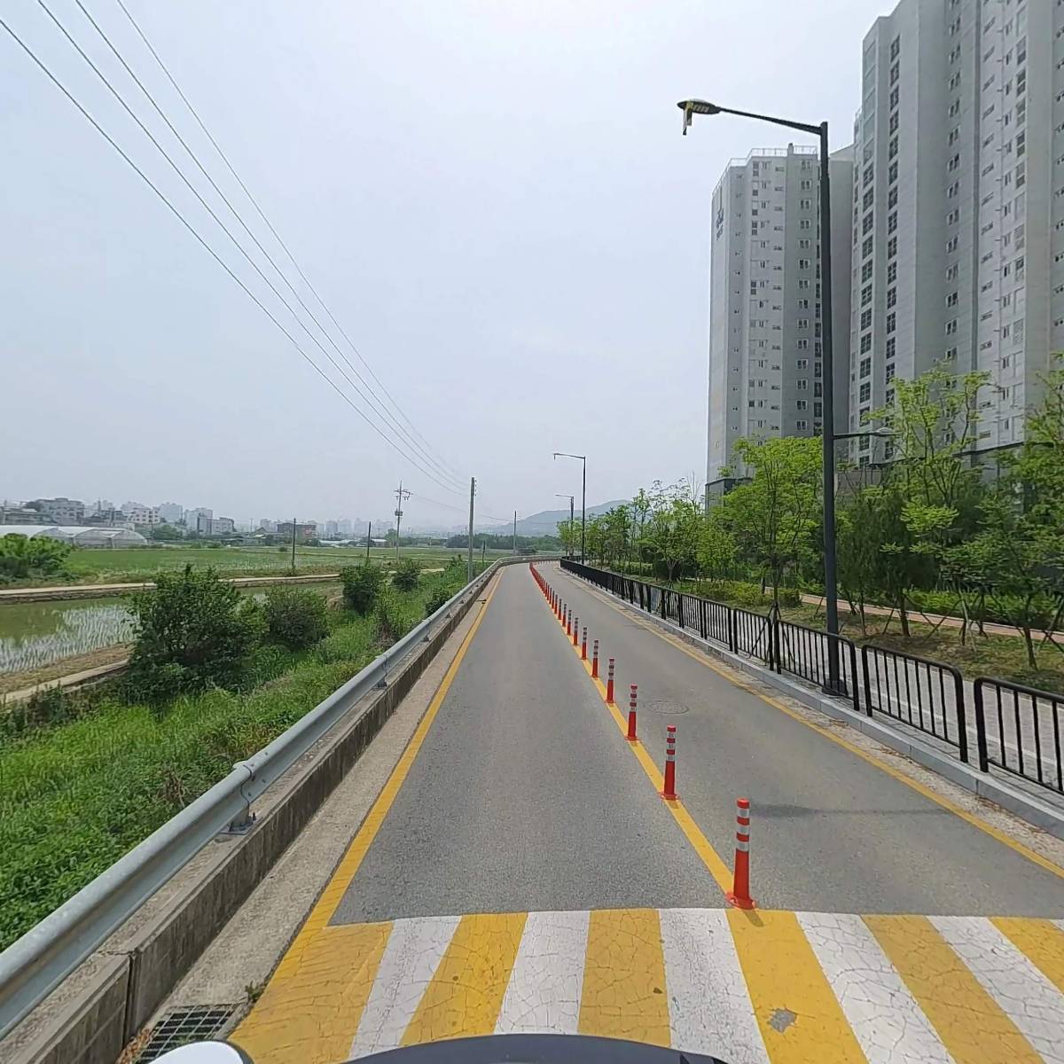 피스바이오텍_2