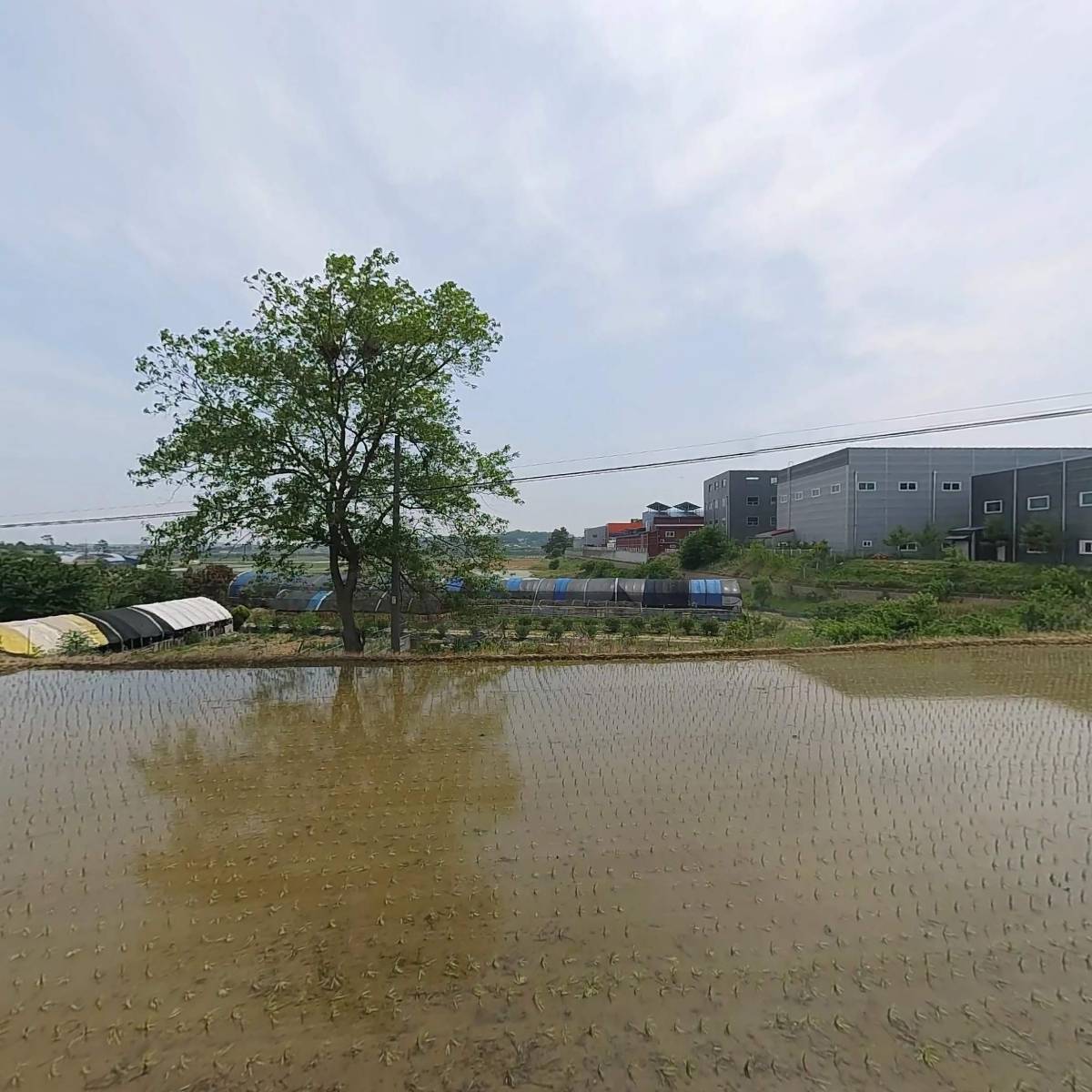 티에스테크(T.STECH)_3