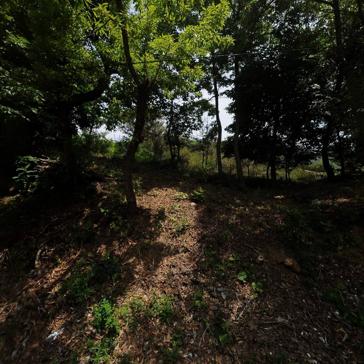 고려엔티씨(주)