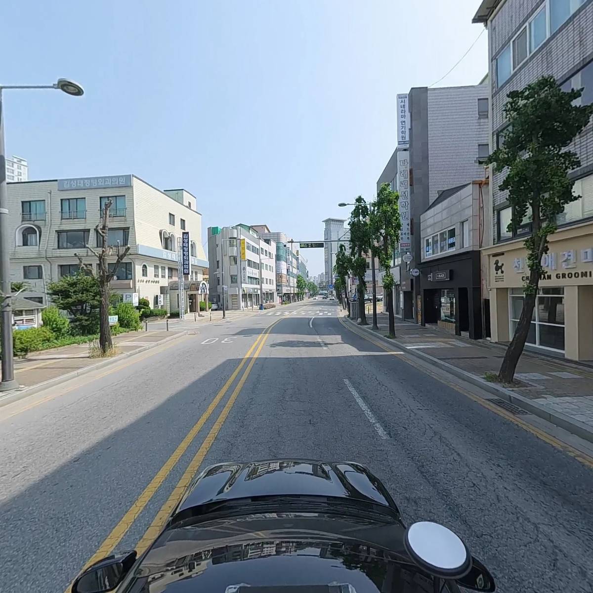 천안애견미용학원_4