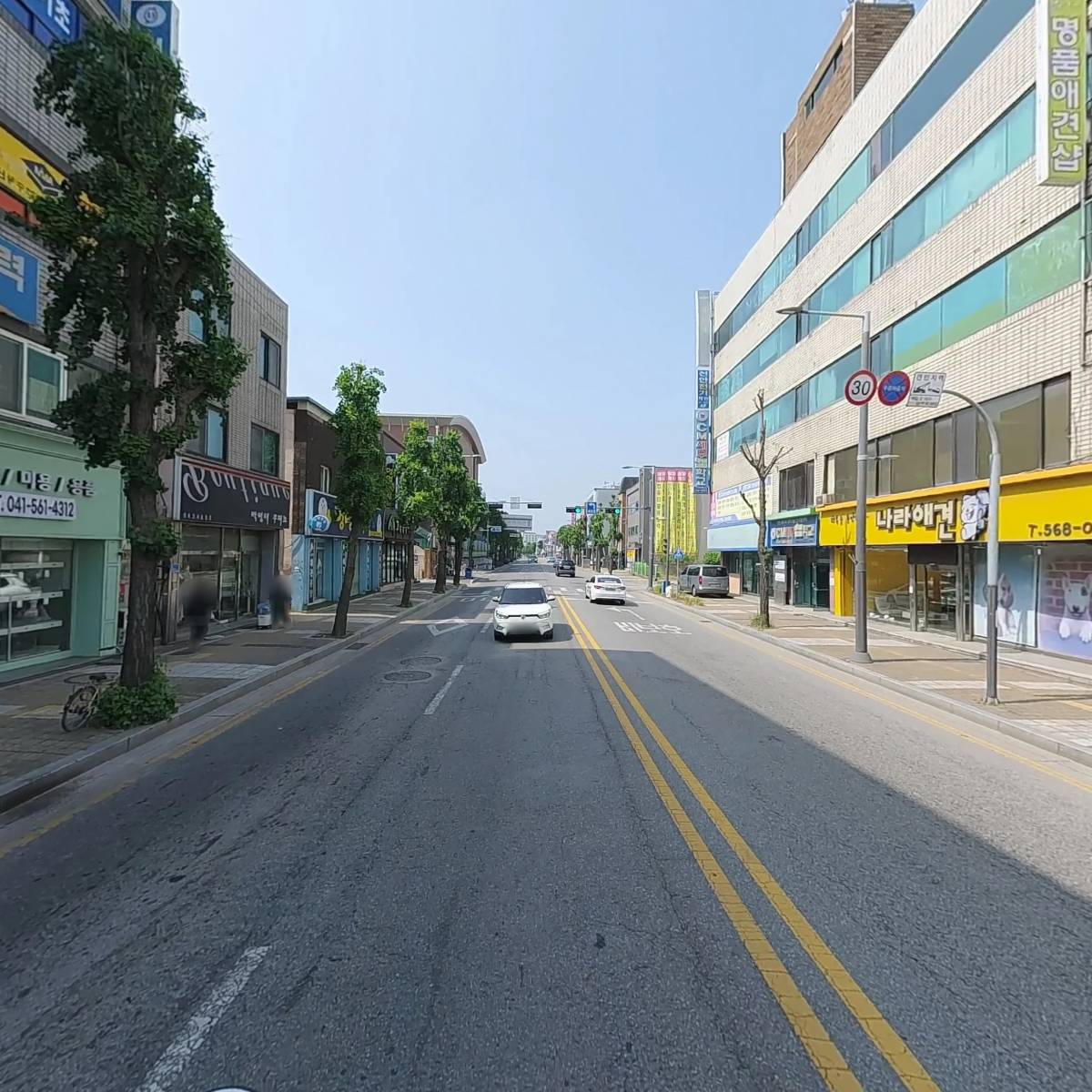 천안애견미용학원_2