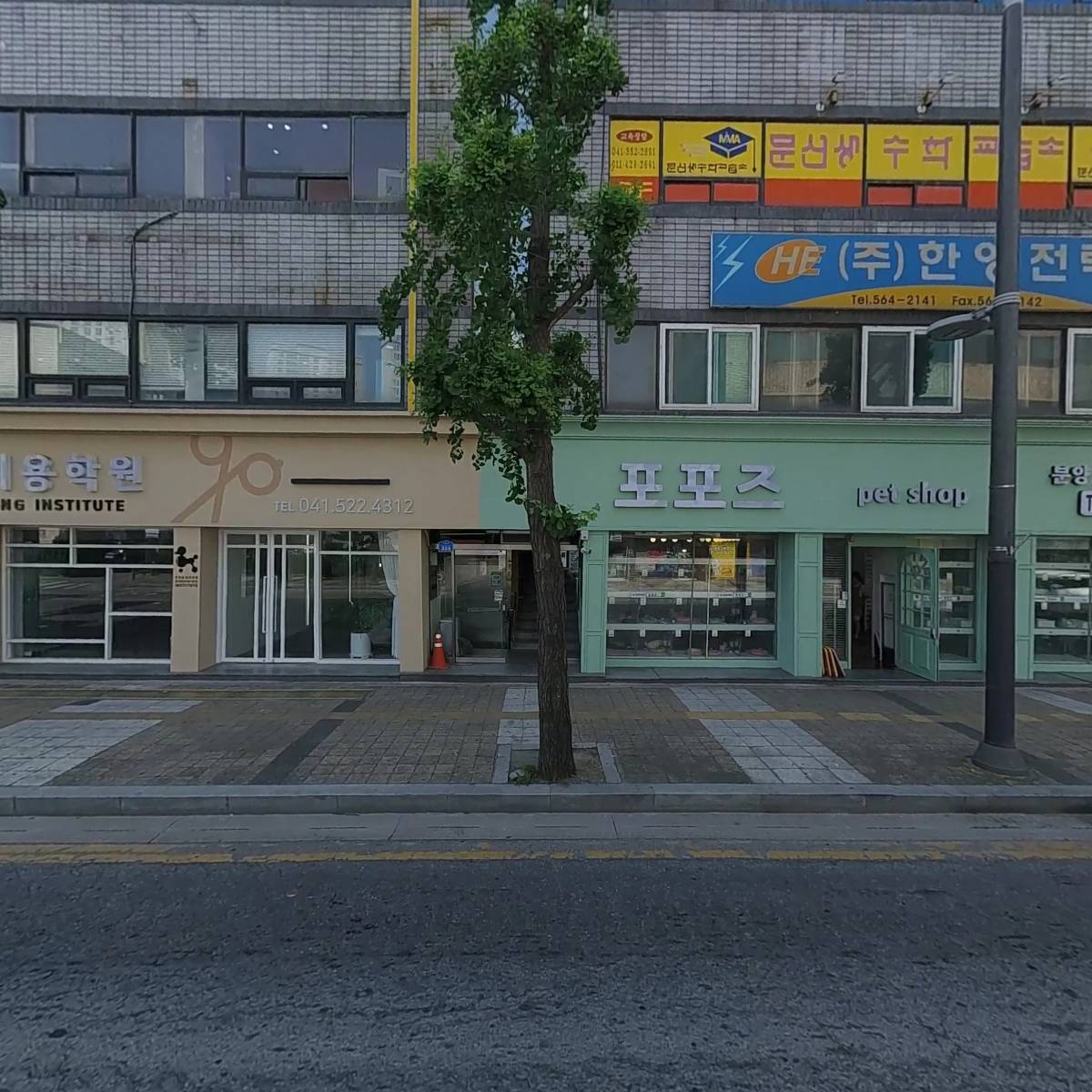 천안애견미용학원