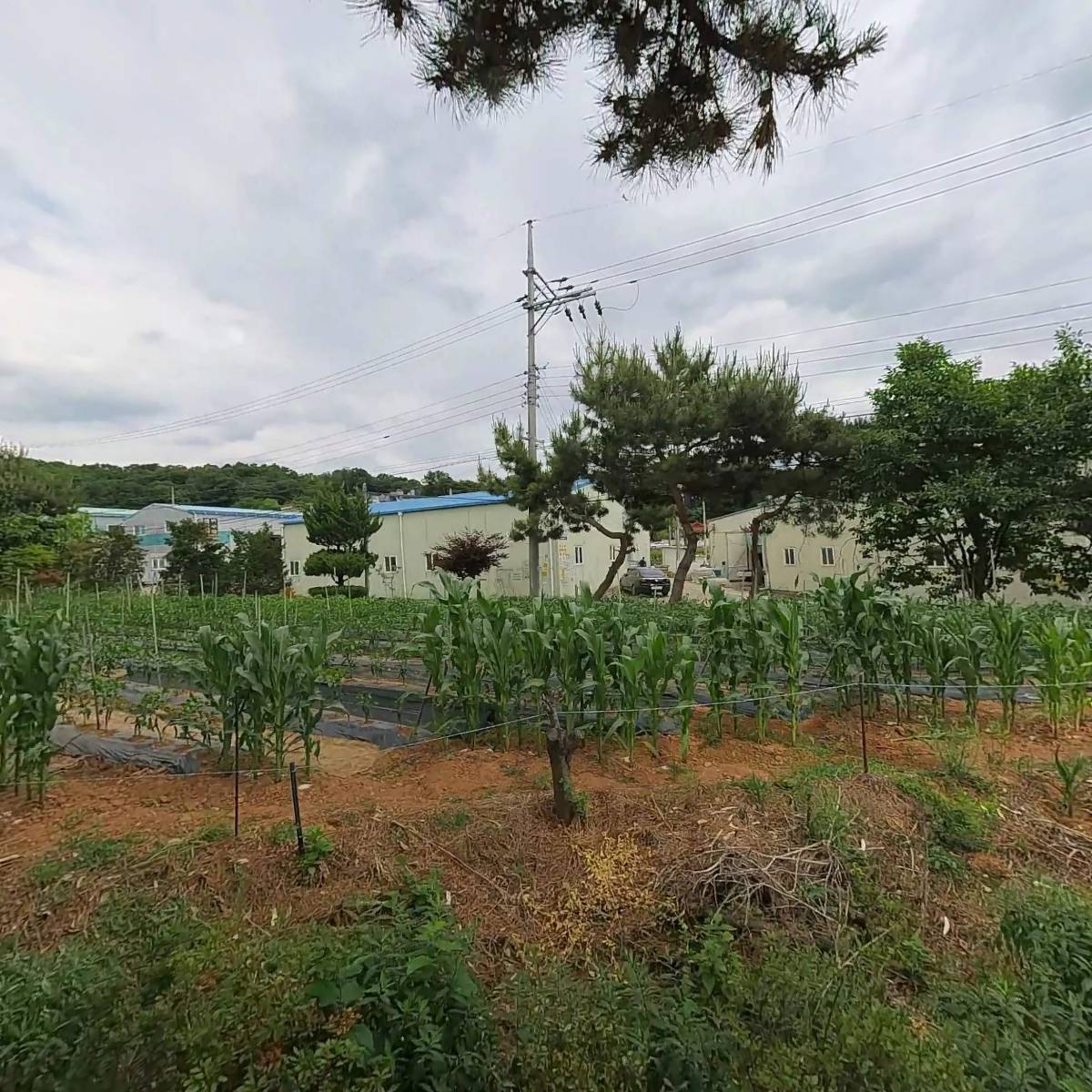 영주 골프존