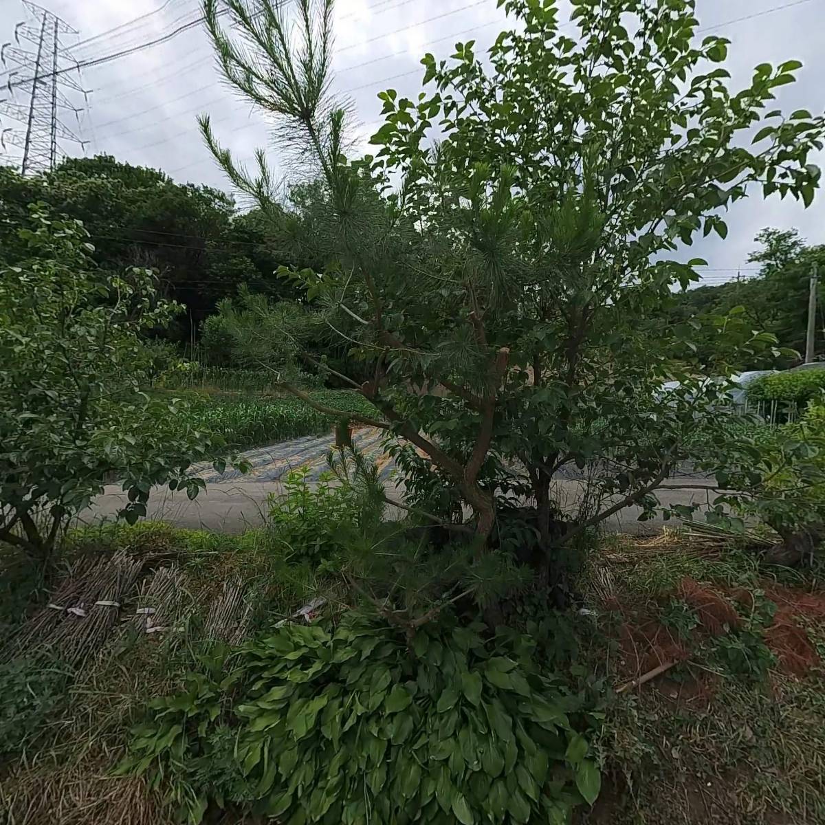 비앤에이치텍(B&HTEC)