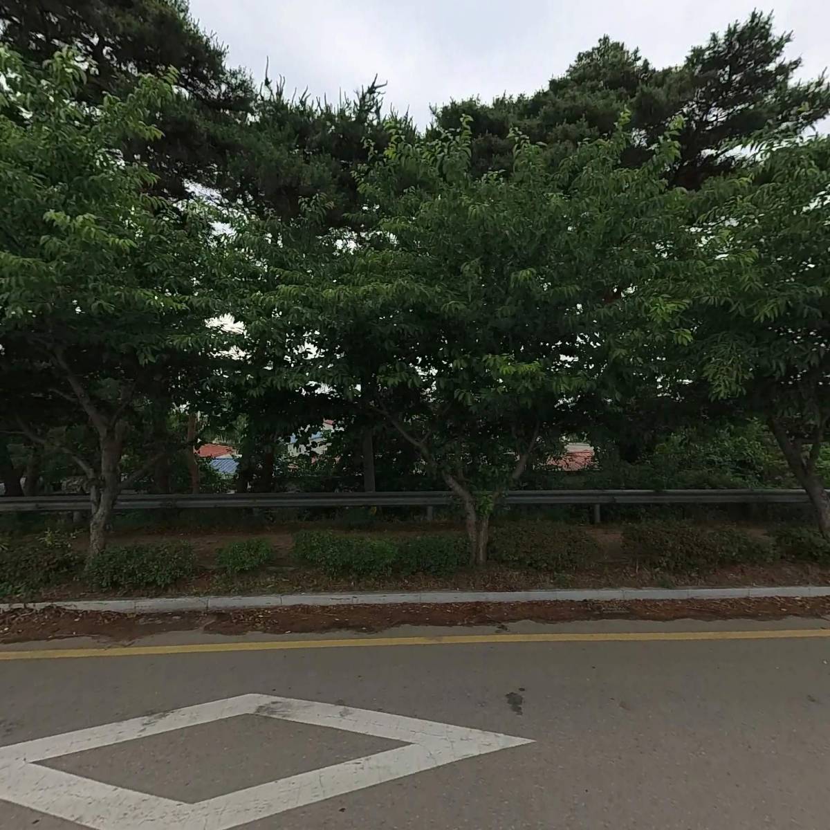 스타물류
