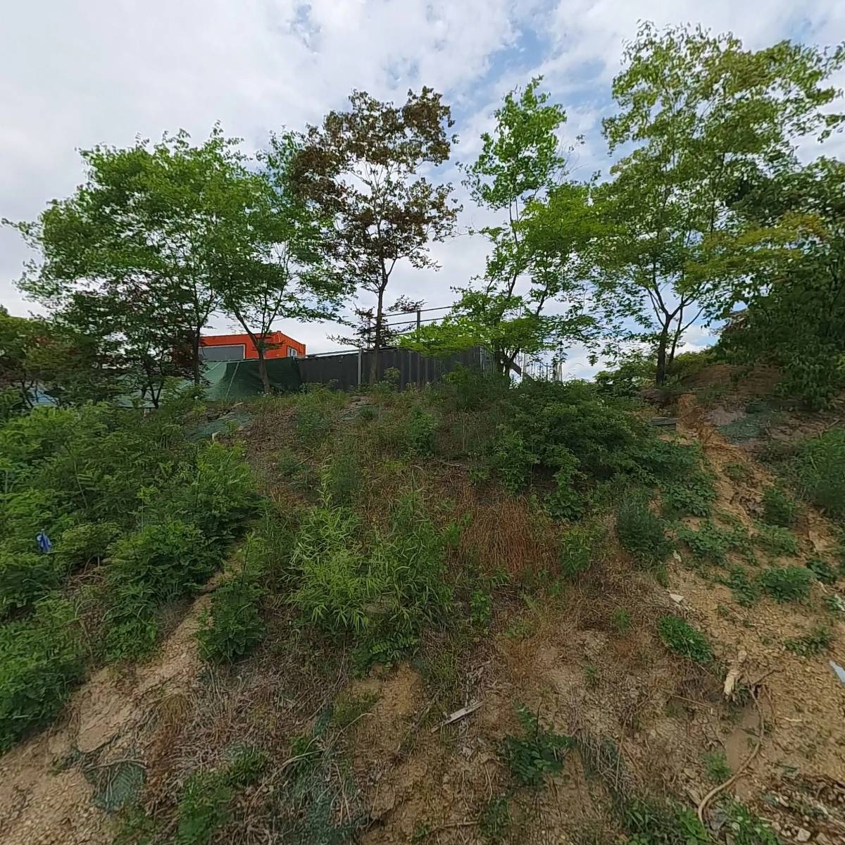 티티엠