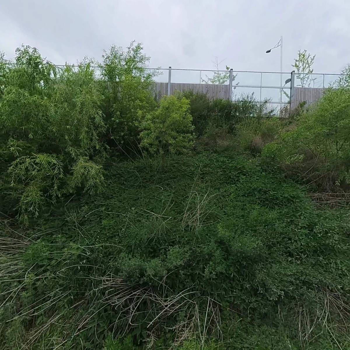 주식회사수기연_3