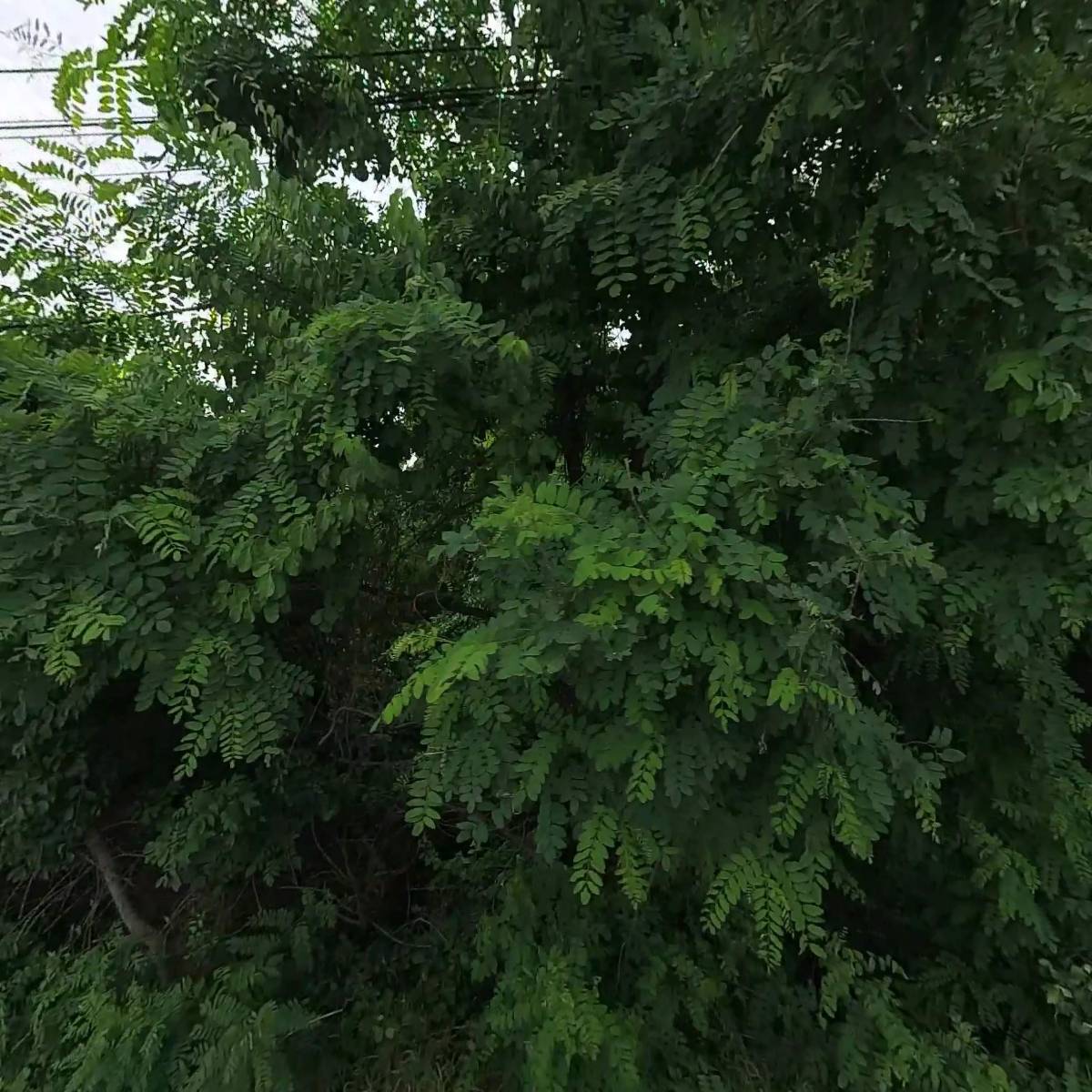 엘엔케이테크주식회사