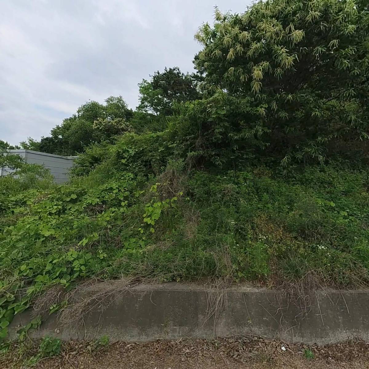 선진무역