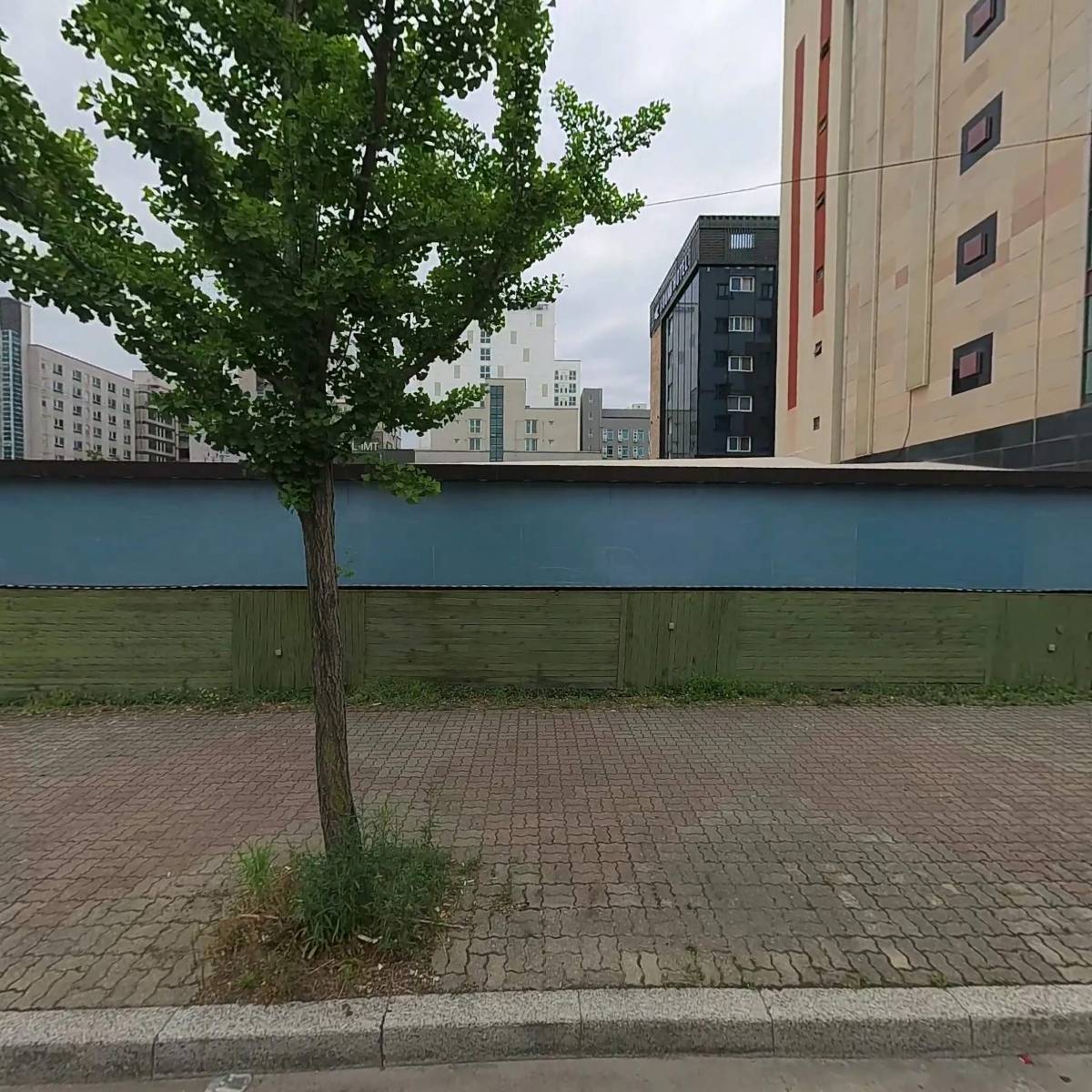 김호곤 골프아카데미_3