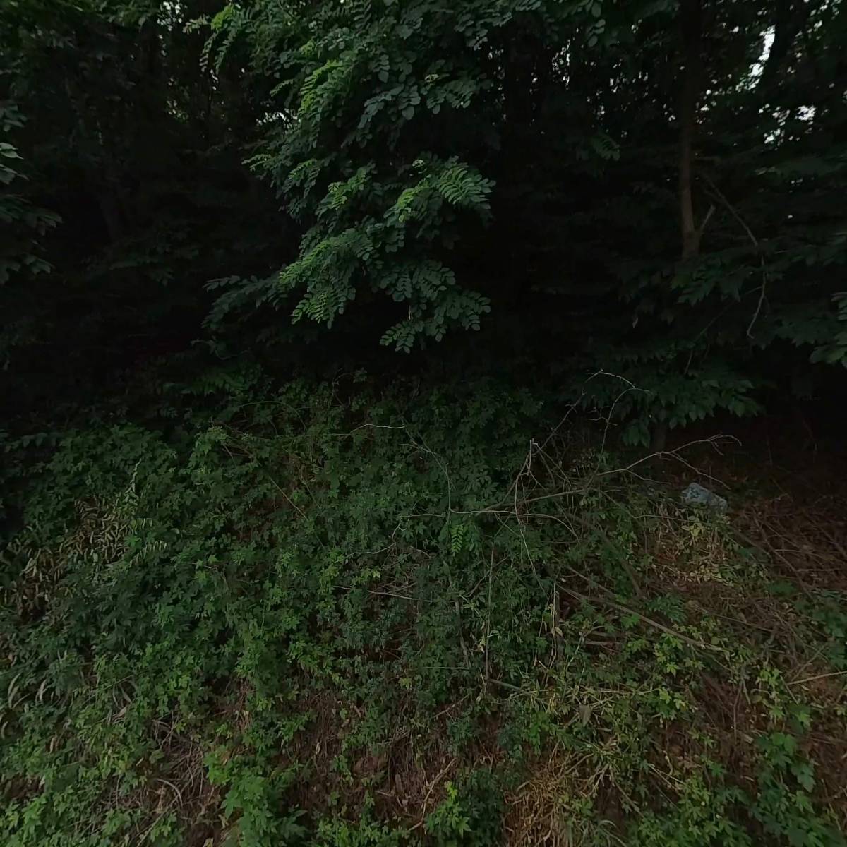 카페드롭탑천안삼거리휴게소점_3