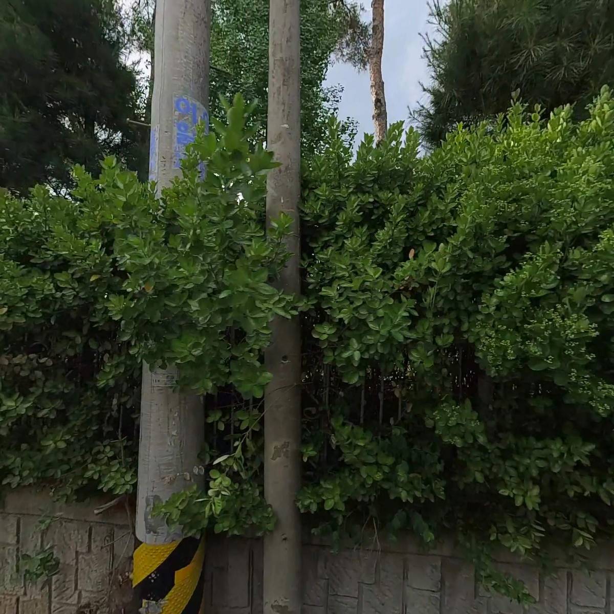 다연교육