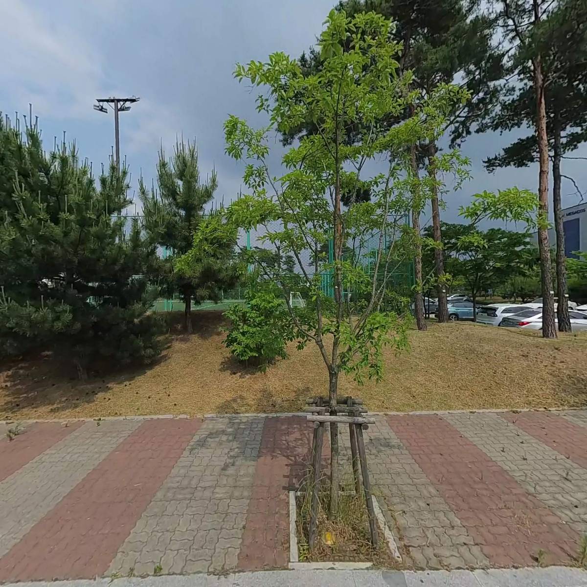 (주)에스앤티