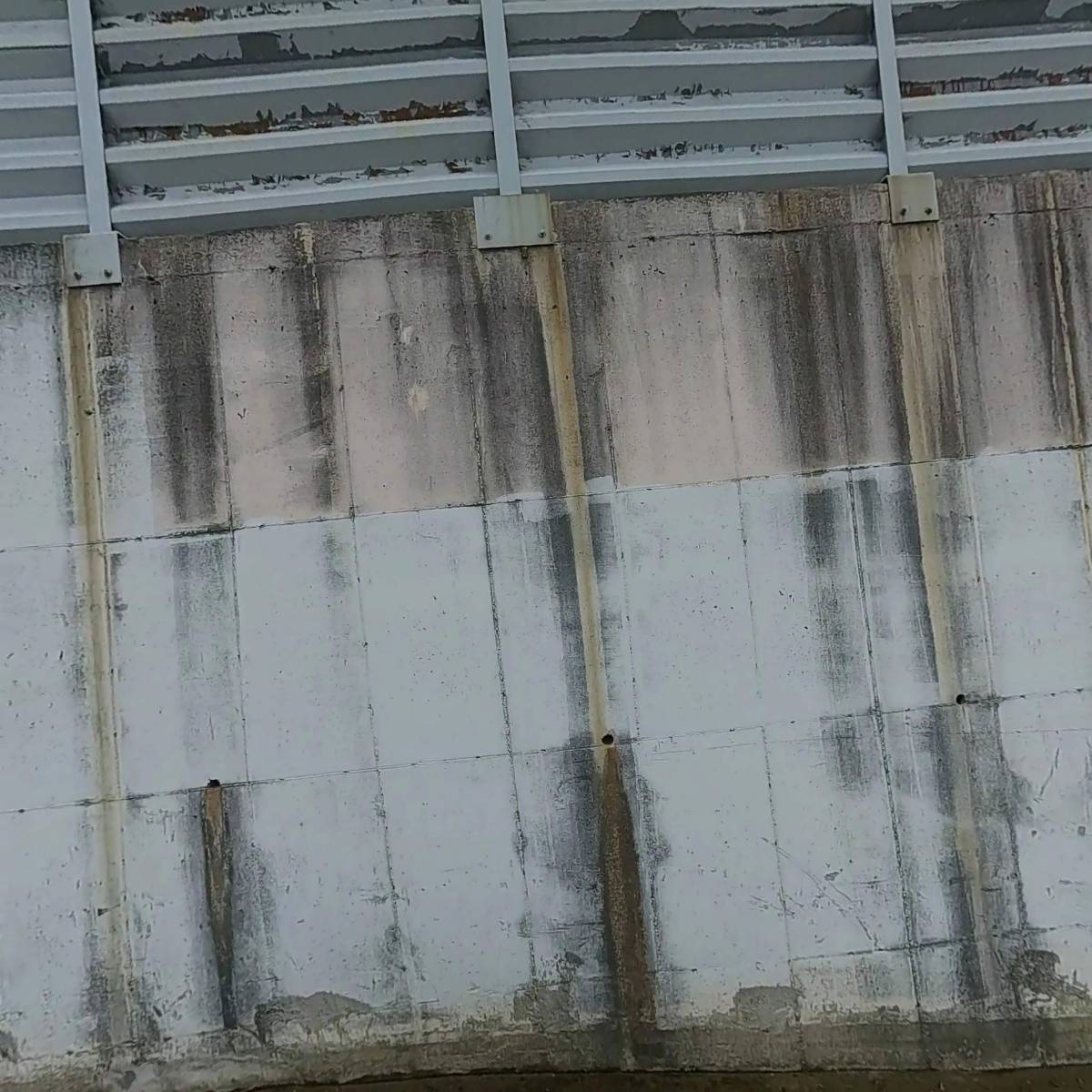 옵토론