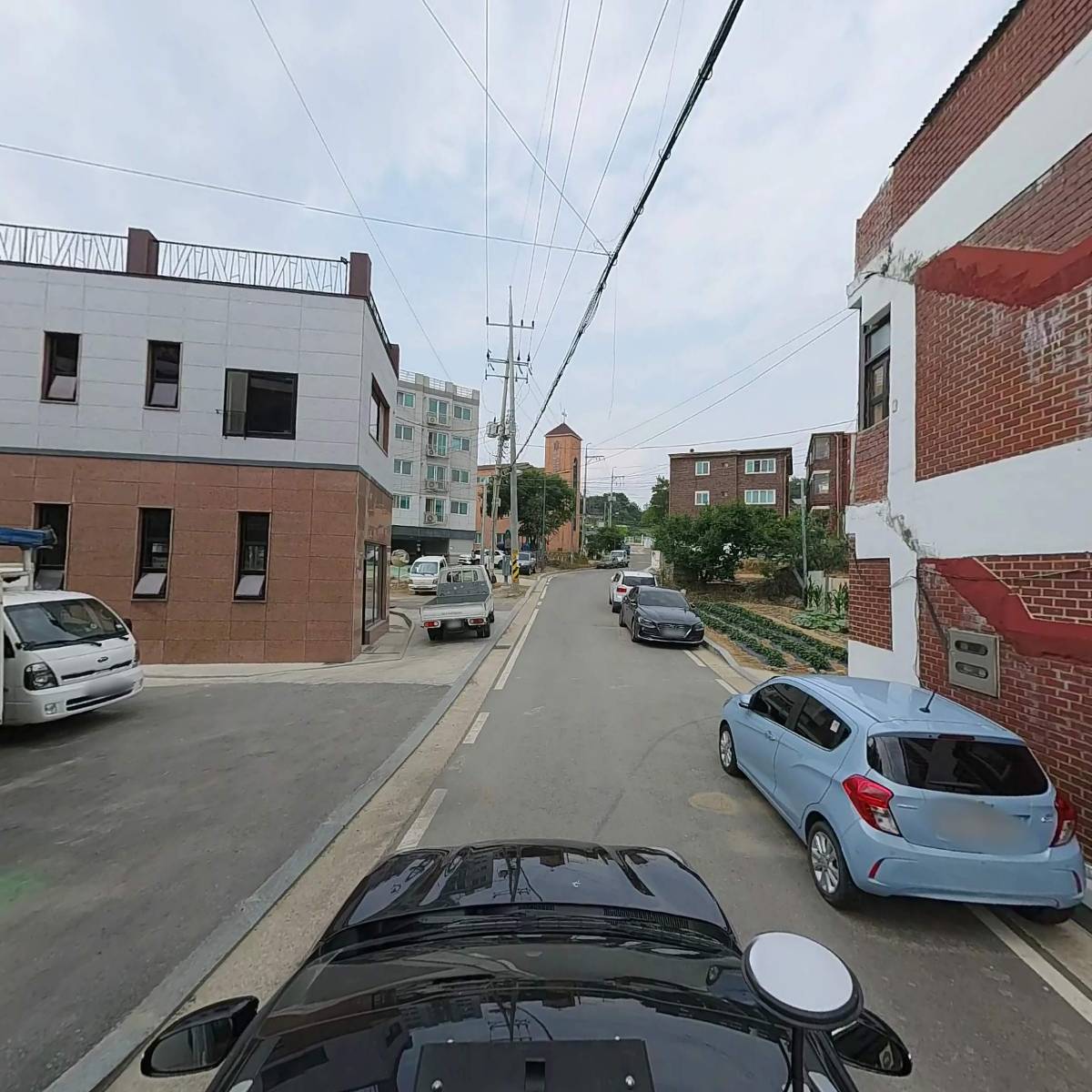 금정오리_4
