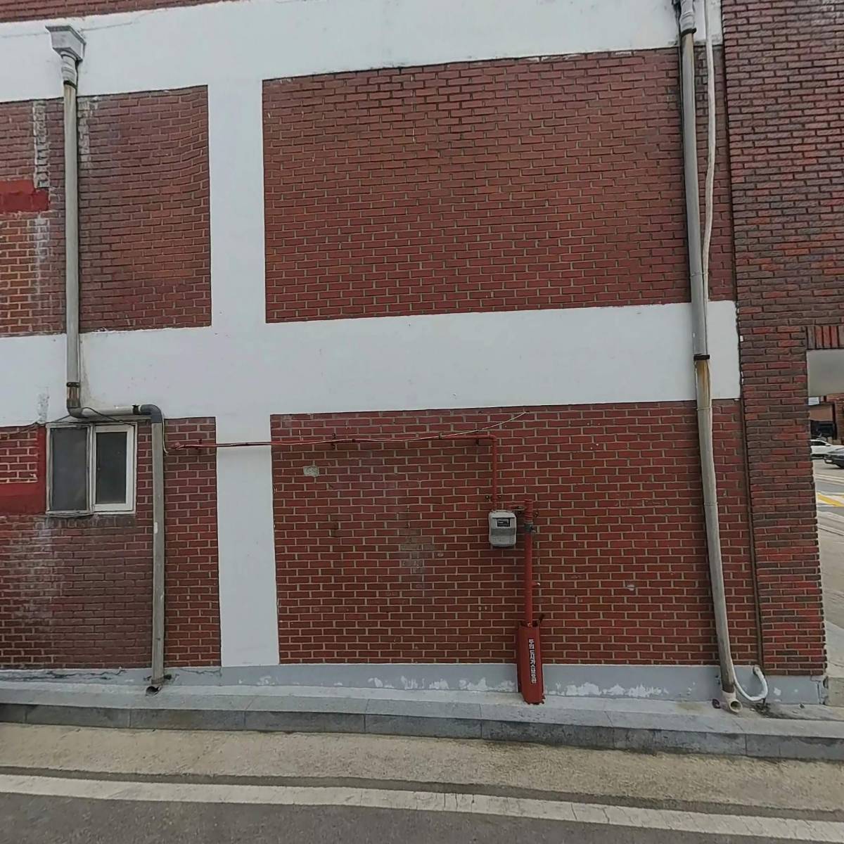 금정오리