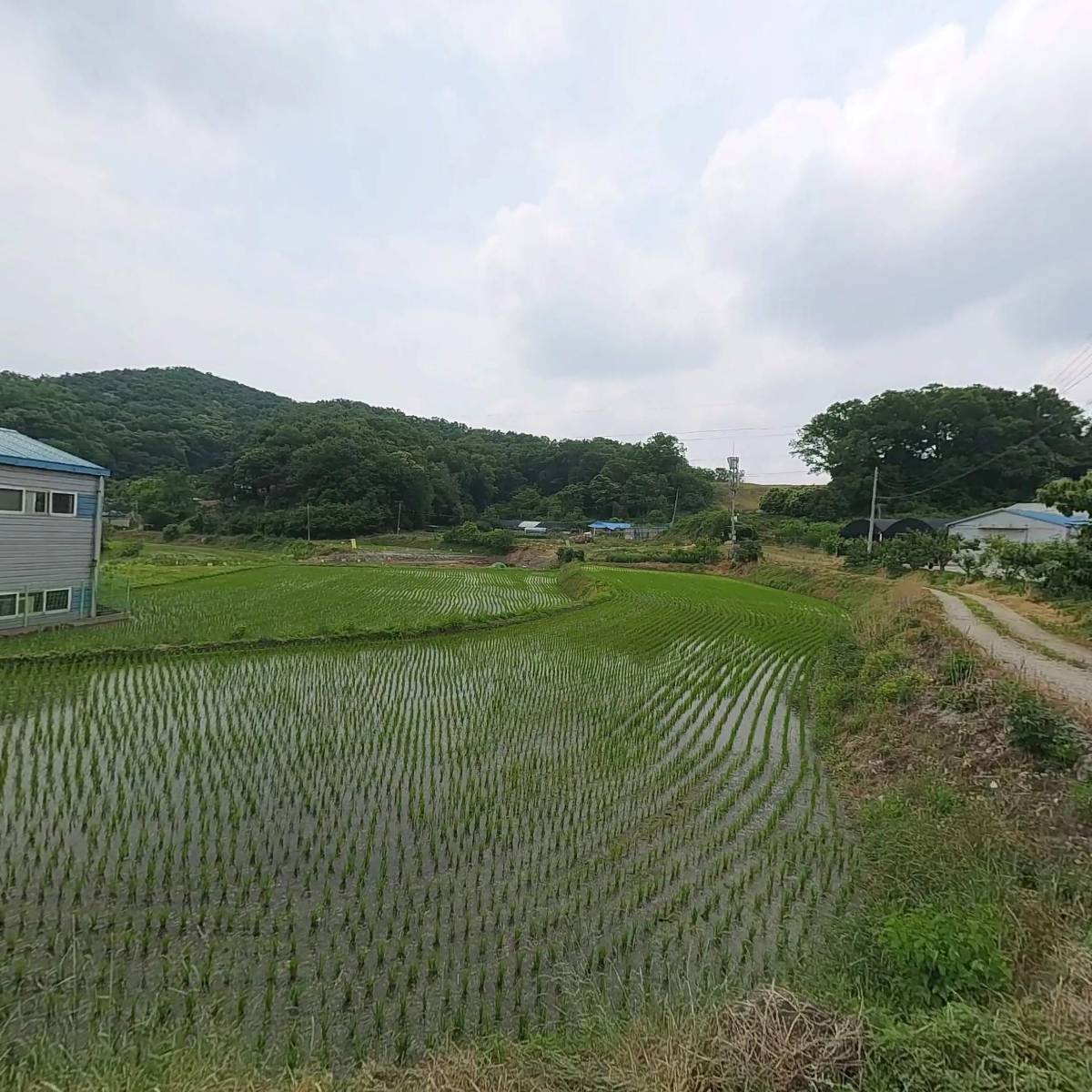 주식회사수원발효_3