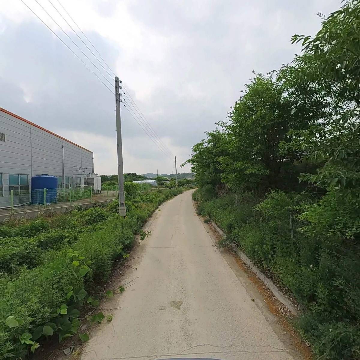화성인삼영농조합법인_2