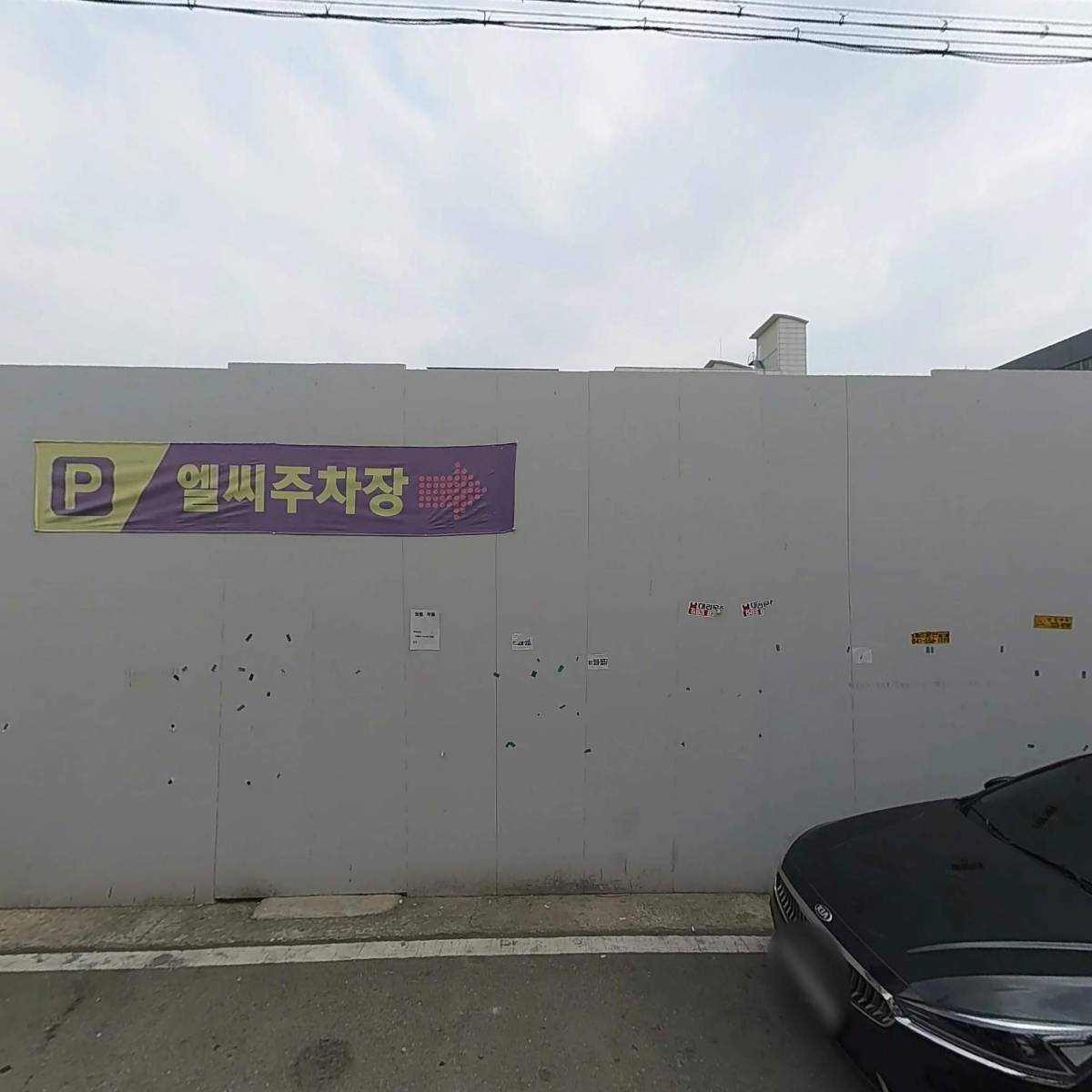 조개박사