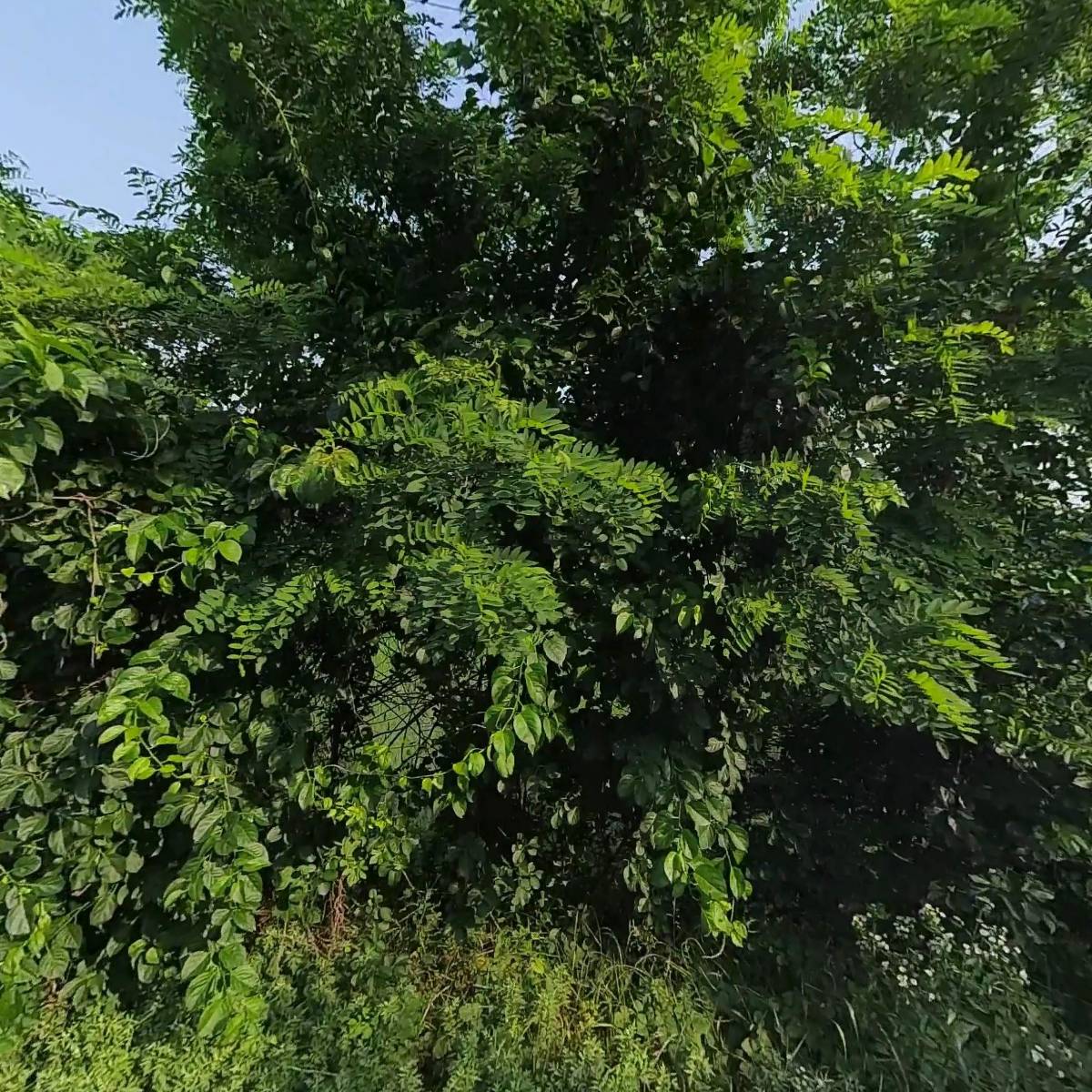 에코너지 오토모티브(주)_3