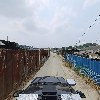 우물정(井)진주바위솔_4