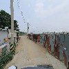 우물정(井)진주바위솔_2