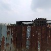 우물정(井)진주바위솔_3