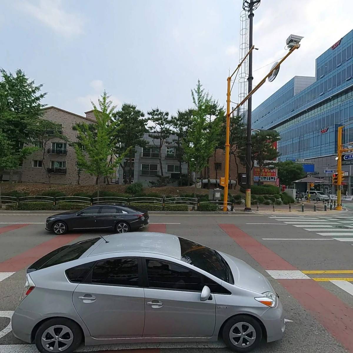 천상대게_3