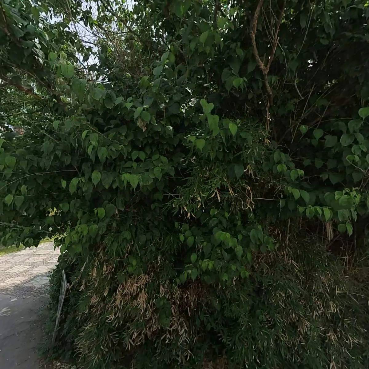 주식회사 명성라바