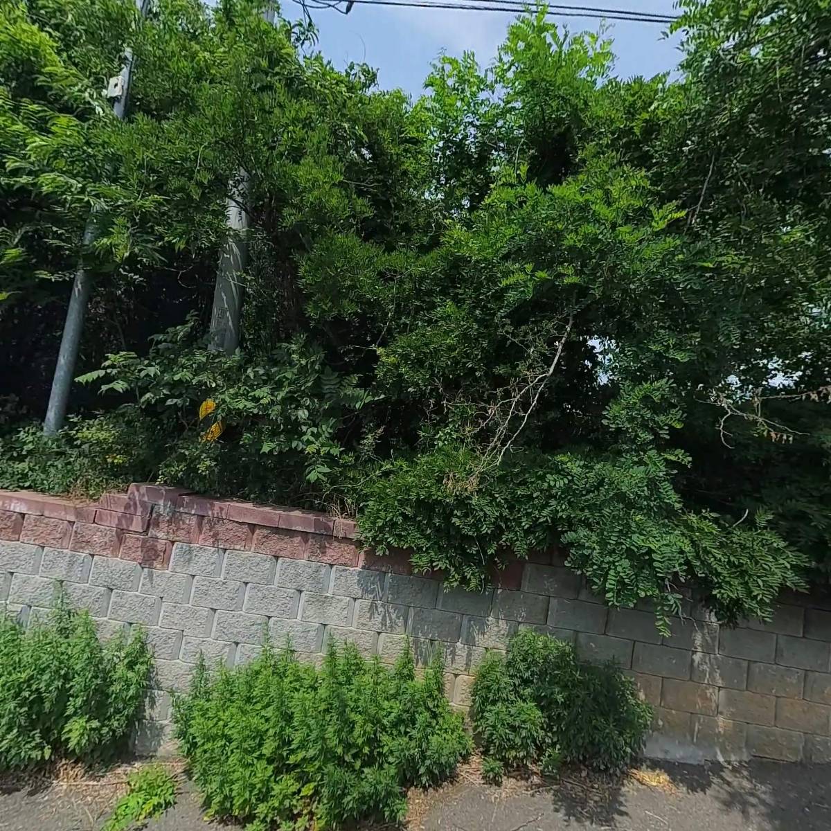 에코보보스 주식회사