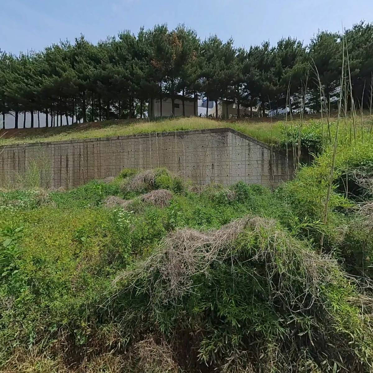 （주）종근당 천안공장