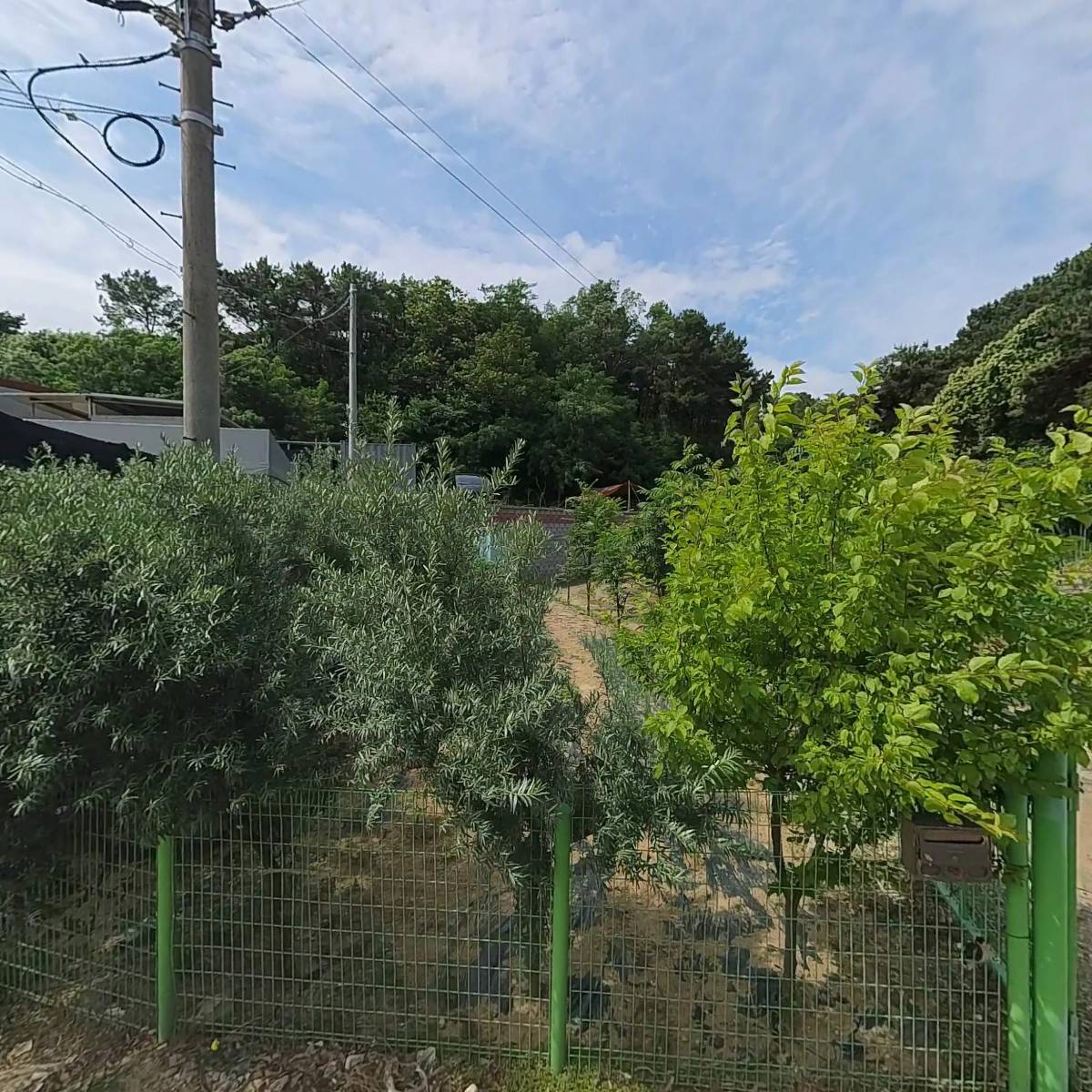 (합명)대림상사_3