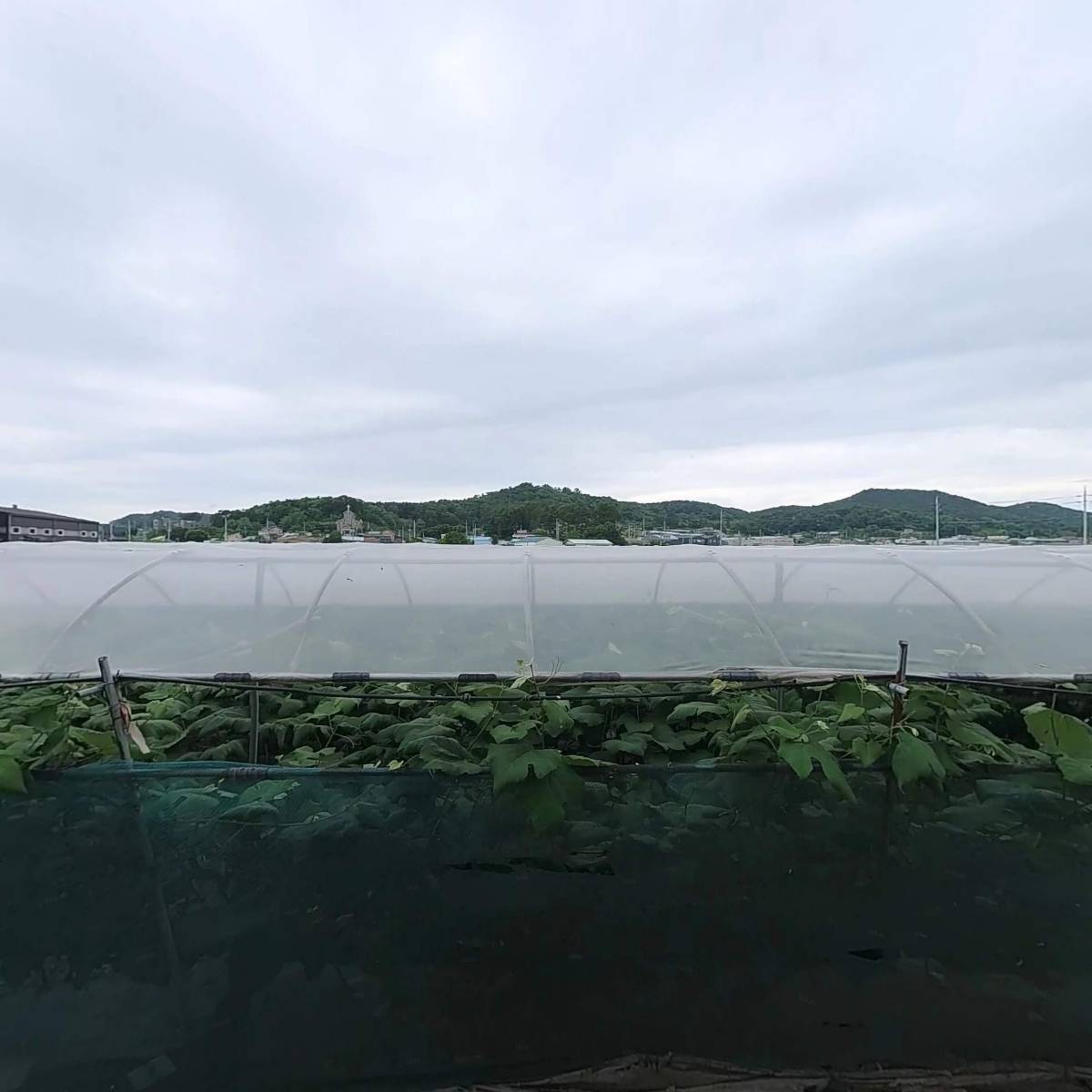 주식회사디엔에프아이