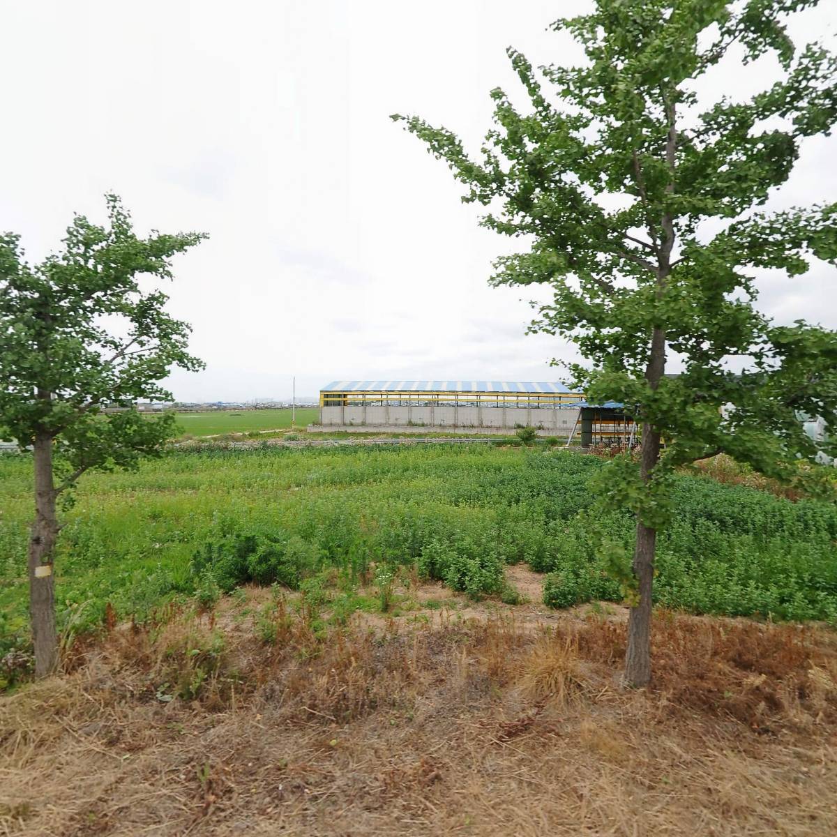 만춘농원